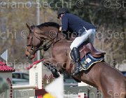 Le Jeune Vikali TosTour2013- S5 2321 : Arezzo, Arezzo Equestrian Centre, Le Jeune Philippe, Toscana Tour 2013, Vikali de l'Heribus, foto di Stefano Secchi ©